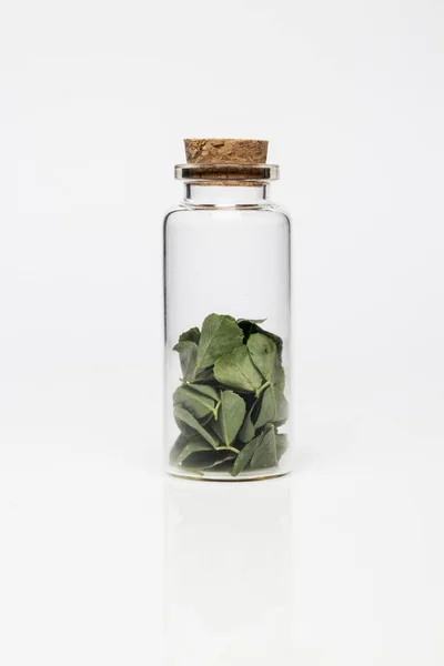 Прозрачная Стеклянная Бутылка Сухими Цветами Изолированная Белом — стоковое фото