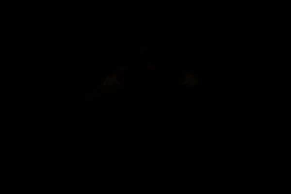 Male Person Silhouette Black Background — Stock Photo, Image
