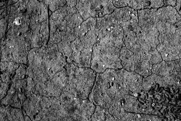 Темно Серая Поверхность Сухой Пол — стоковое фото