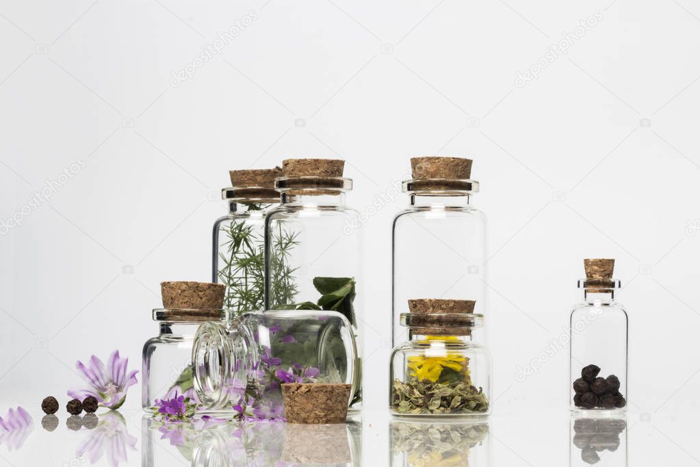 Transparency glass bottles with dry flowers, isolated on white 
