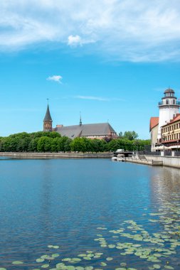 Kaliningrad. Balık köyü