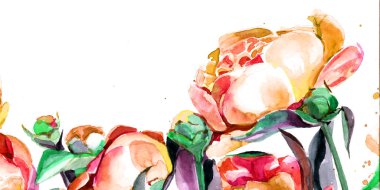 Şakayıklar suluboya. arka plan çiçekleri