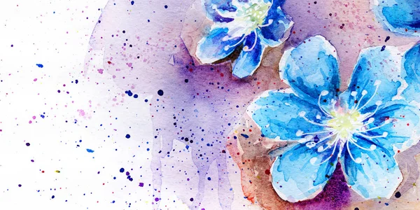 Весенний Цветок Цветы Сакуры Капает Брызги Акварели Pollen — стоковое фото