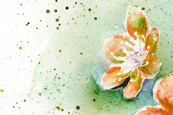 春咲き 桜の花滴飛散水彩画 — ストック写真