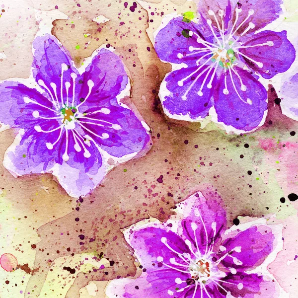 Spring Bloom Cherry Blossom Flowers Drops Splashes Watercolor Pollen — Stock Photo, Image