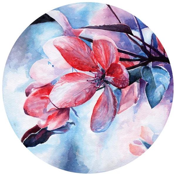 Cherry blossoms. spring bloom. flower and leaves. watercolor