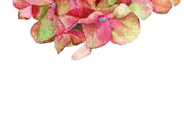 Hydrangea Watercolor Flowers Spring Summer Background — Stock Photo, Image