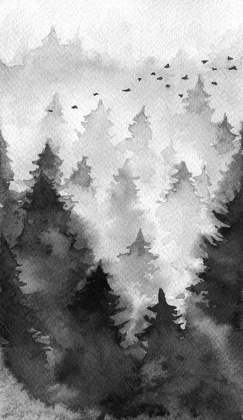 Ліс Тумані Осінь Зима Фон — стокове фото