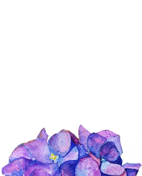 Hortenzie Akvarelu Květy Jaro Léto Pozadí — Stock fotografie