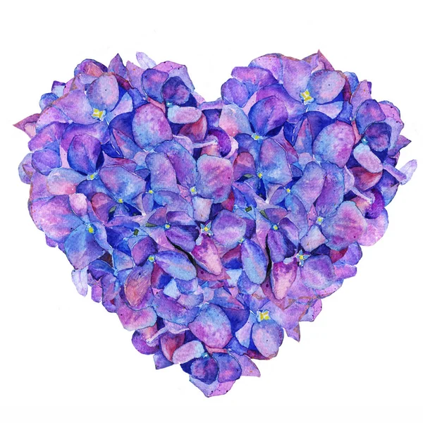 Valentine Day Love Valentine Watercolor Hydrangea Spring Heart Flowers — Fotografia de Stock