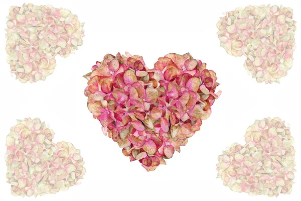 San Valentino Amore Valentino Acquerello Ortensia Primavera Cuore Fiori — Foto Stock
