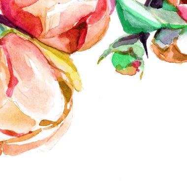 Şakayıklar suluboya. arka plan çiçekleri