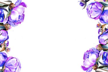 peonies suluboya. arka plan. çerçeve