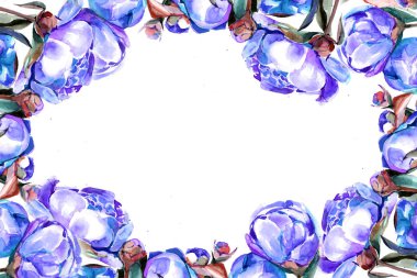 peonies suluboya. arka plan. çerçeve