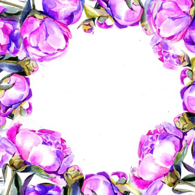 peonies suluboya. arka plan. çerçeve