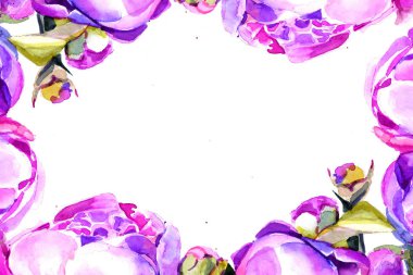 peonies suluboya. arka plan. çerçeve