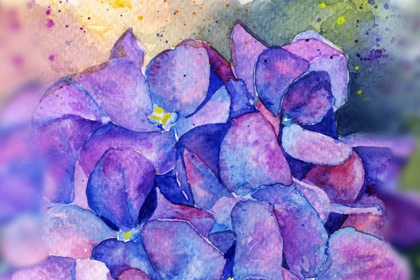 Akvarell Virágok Hortenzia Tavasz Nyár Háttér — Stock Fotó