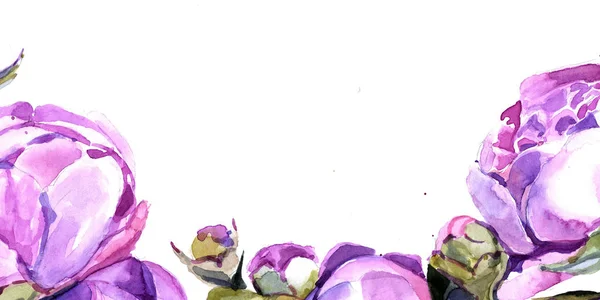 牡丹水彩画背景の花 — ストック写真