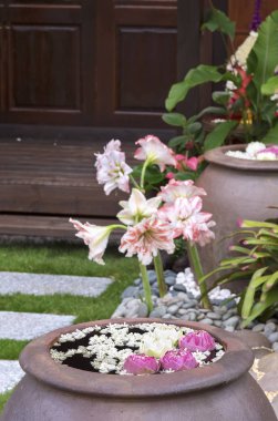 Bir bahçe koca bir kavanoza pembe ve beyaz çiçekler tayin