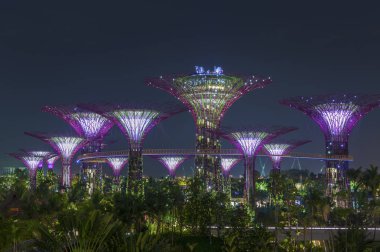 Singapur - Kasım 01: Supertree Grove Gardens gece görünümü