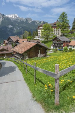 Pastoral manzara reosrt köyü Wengen, İsviçre