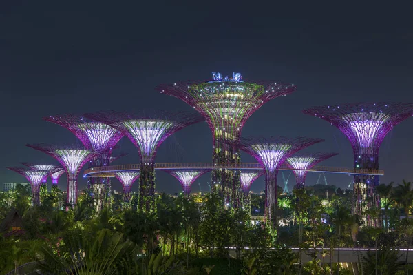 Singapur Nov Vista Nocturna Supertree Grove Gardens — Foto de Stock