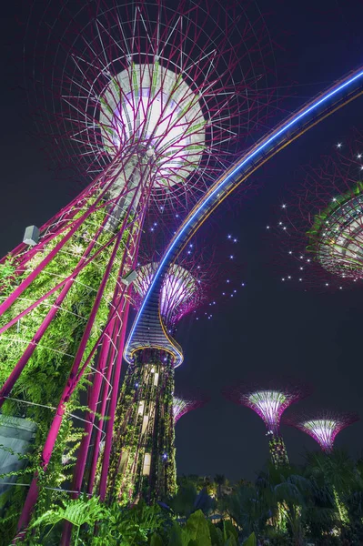 Singapore Nov Natt Över Supertree Grove Gardens — Stockfoto