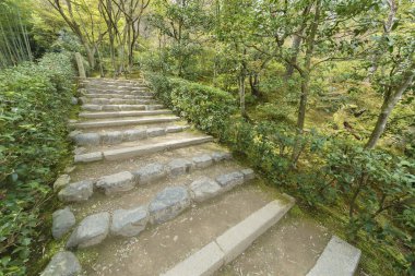 Yeşil iz Arashiyama, Kyoto, Japonya