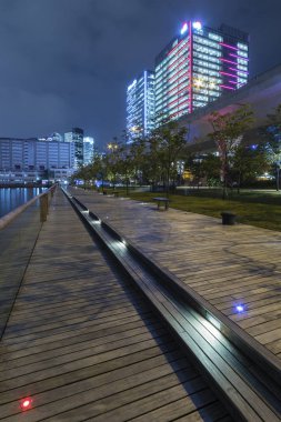 Geceleyin Hong Kong 'da deniz kenarında gezinti.