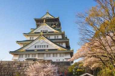 Günbatımı altında sakura çiçeği Japonya Osaka Kalesi 
