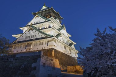 Sakura çiçeği Japonya Osaka Kalesi 