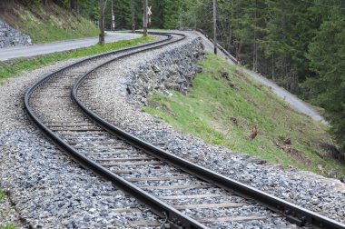 ormandaki boş demiryolu görünümünü