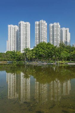 Hong Kong konut bölgesi