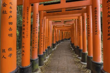 Kyoto, Japonya - 08 Nisan 2016: Kırmızı Torii gates Fushimi Inar de