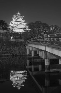 Japonya 'daki Osaka Kalesi