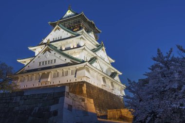 Sakura çiçeği Japonya Osaka Kalesi 