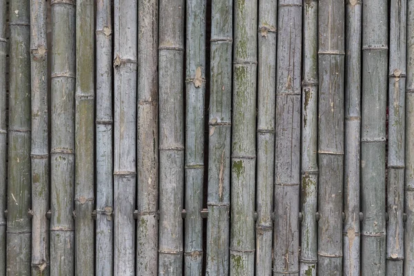 Fond Texture Bambou Brun — Photo
