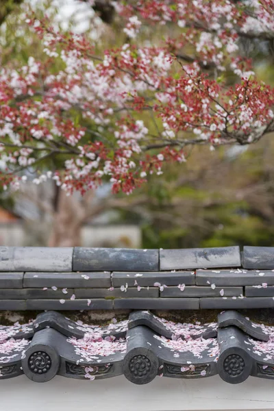 Увядший Цветочный Лепесток Сакуры Крыше Восточный Фон — стоковое фото