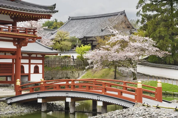 Idyllic Landscape Kyoto Japan — Stock Photo, Image