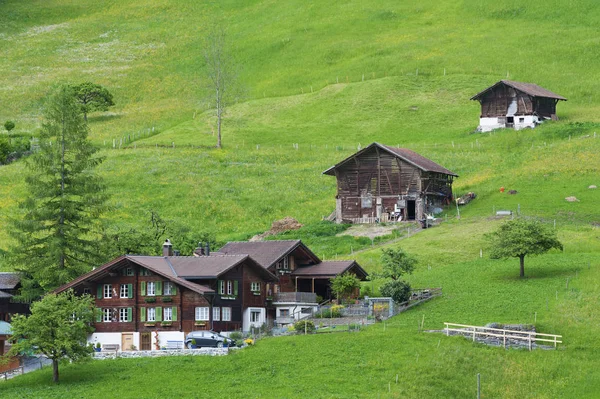 Köyde Lauterbrunnen Vadisi, İsviçre