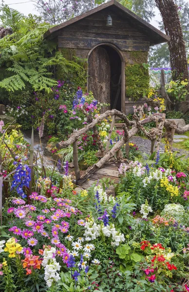 Cour Arrière Paysagée Une Vieille Maison Avec Jardin Fleuri — Photo