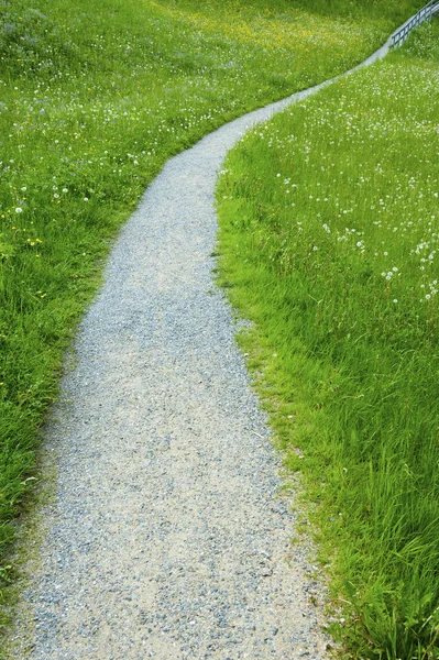 Camino Pradera Verde — Foto de Stock