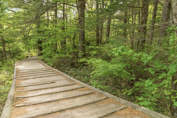 iz Hotaka dağ aralığında, Kamikochi Milli Parkı, Kamikochi, Japonya hiking üzerinde ahşap yaya köprüsü
