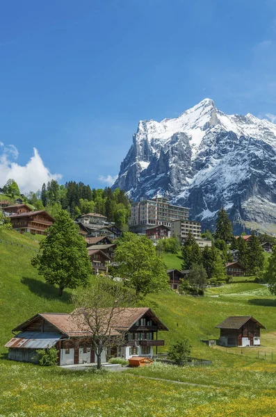 Grindelwald köyü nın Oberland, İsviçre için pastoral manzara