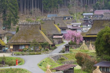 Japonya 'nın Kyoto kentindeki Miyama tarihi köyünün kırsal manzarası