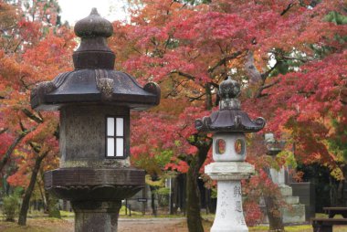 Japonya, Kyoto 'daki Shinnyodo Tapınağı' nda taş fener.