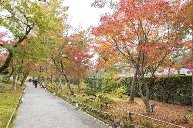 Arashiyama, Kyoto, Japonya 'nın sonbahar mevsiminde Idyllic manzarası