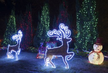 LED Noel dekorasyonu Bahçe