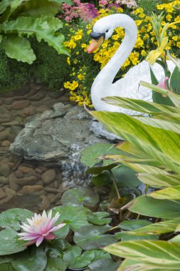 Kuğu ve Nilüfer Bahçe gölet