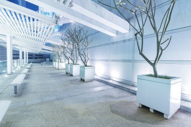 Geceleri modern bahçe.